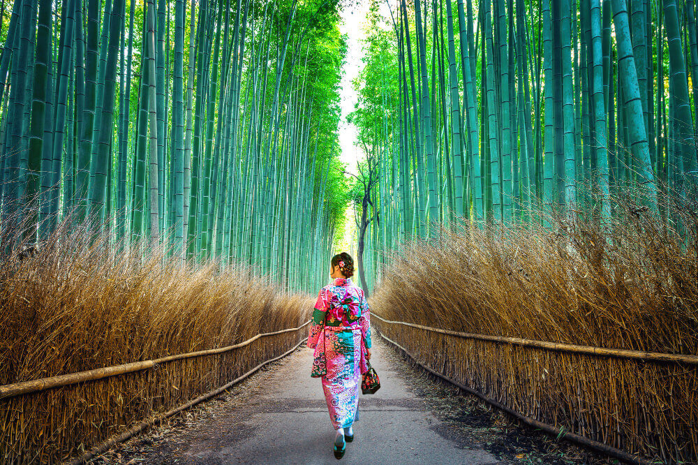 Tudo sobre o Banho de Floresta: a técnica japonesa para o bem estar