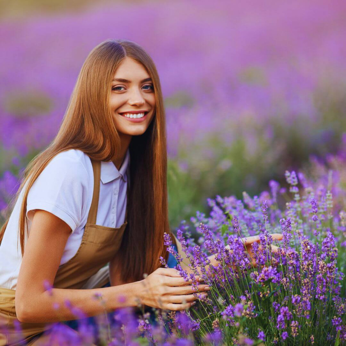 como gerenciar as emoções com a ajuda de 3 óleos essenciais - campo lavanda