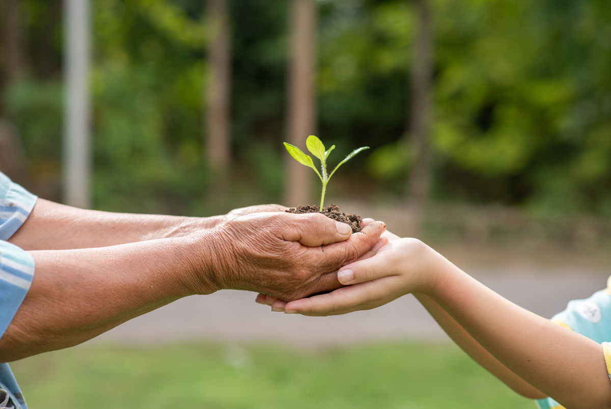 o que é desenvolvimento sustentável